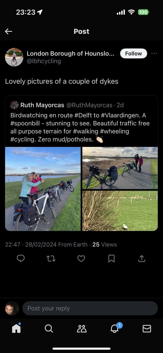 Ed Saper tweet media