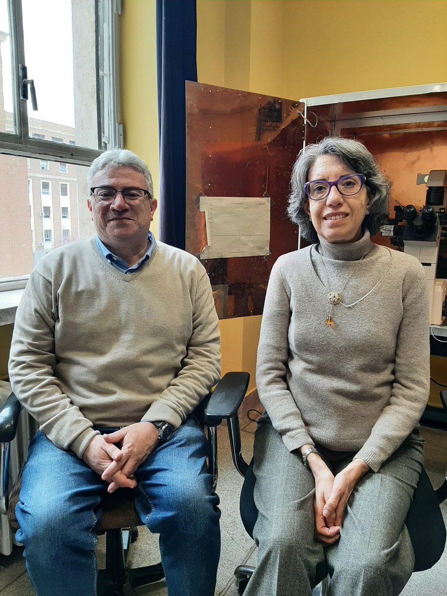 SEFarmacología tweet media