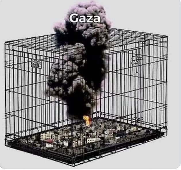 This is what USA and Allies call it Democracy .#StopGazaGenocideNOW