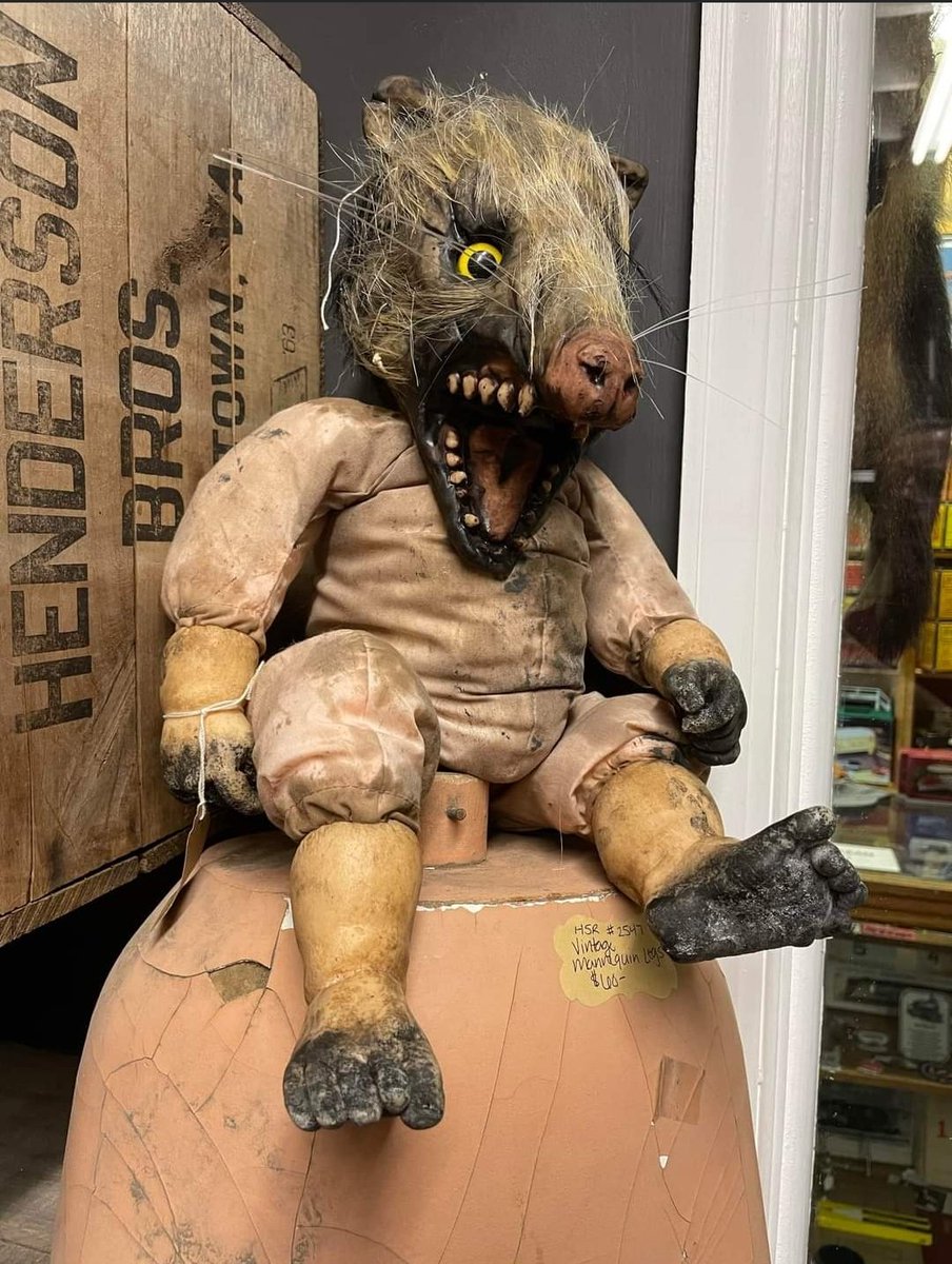 Crap Taxidermy tweet media