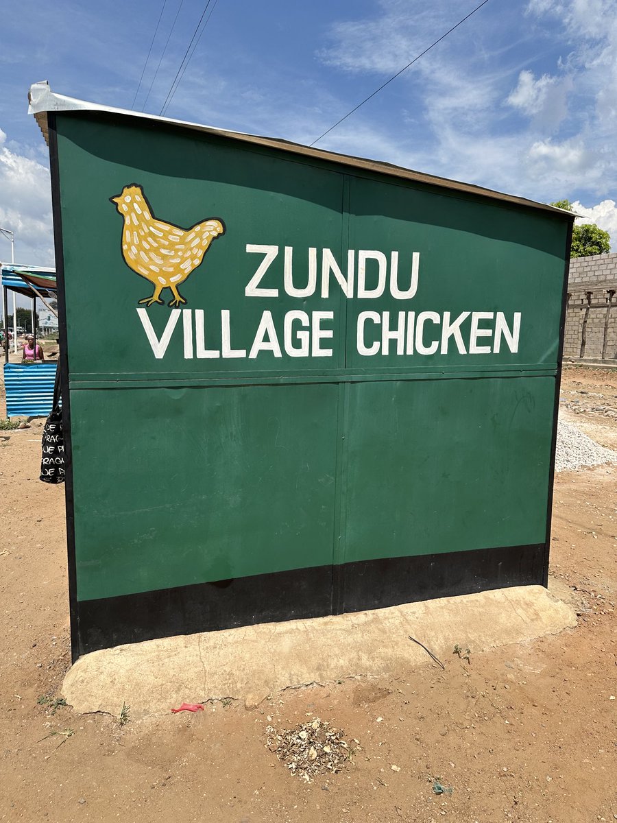 Sieg_SAS's tweet photo. Opening the road: farmers showing the way crop-livestock integration #savesoils chicken manure and milk production in a drought DTmaize pigeonpea mucuna #AIDI delivery with a difference #farmeragency @cimmyt ⁦@ILRI⁩. Keep going #Zambia farmers! https://t.co/hdN4RDlYU6