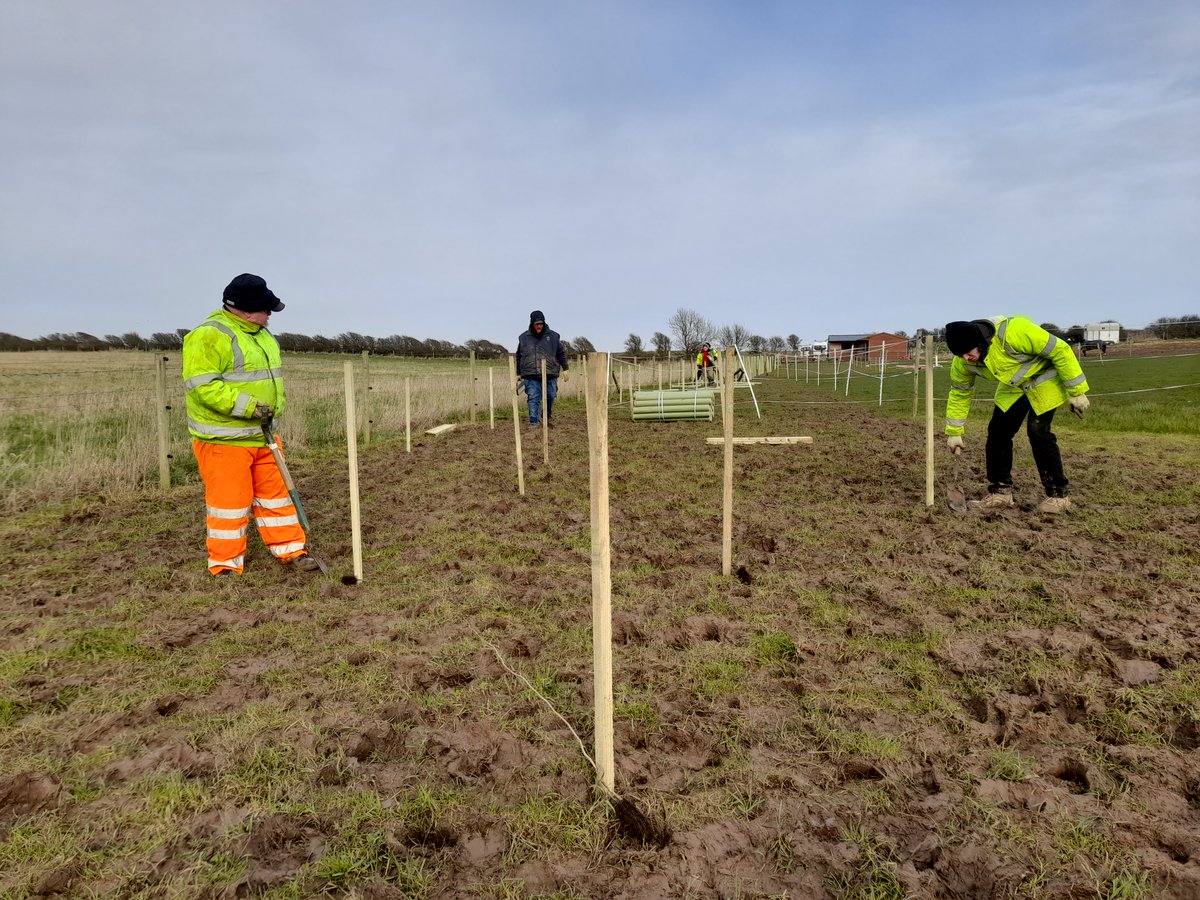 Tonnes of planting done by our amazing #volunteers in Tunstall this week so far, including #students from @BishopBurton completing their work experience! Both projects were fully funded and supported by @HumberForest #JoinInFeelGood