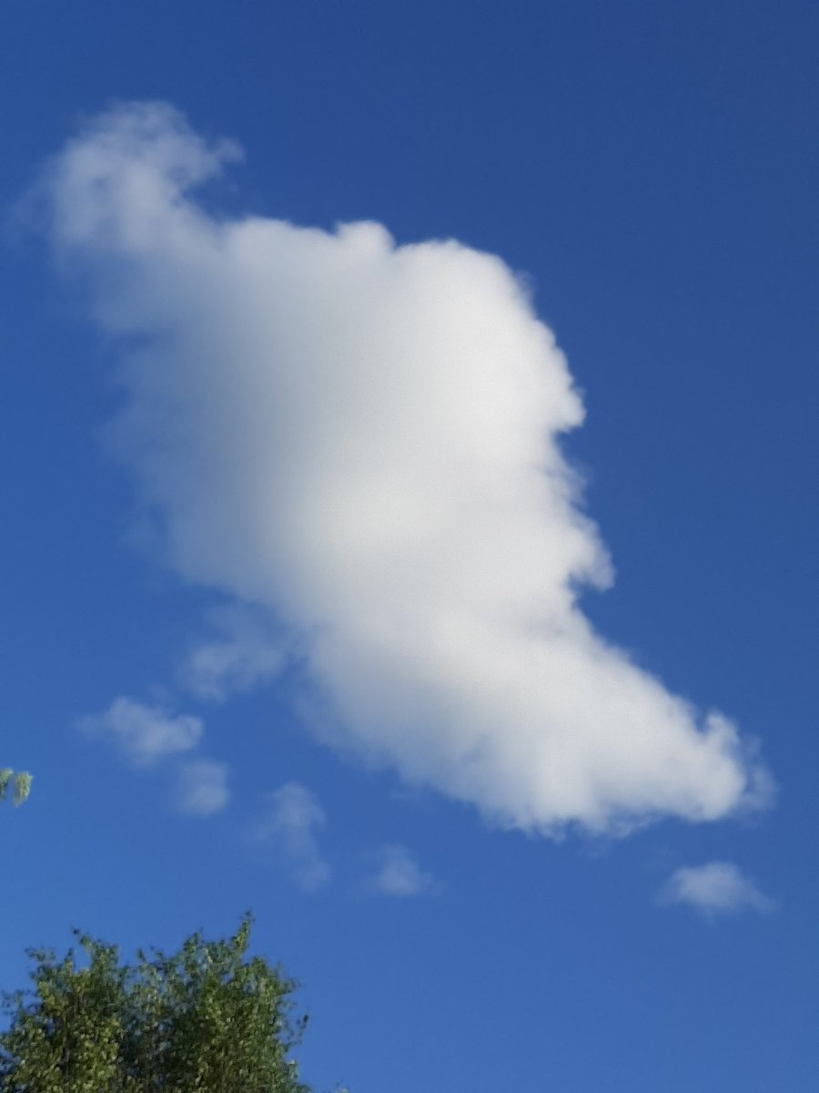 Heather Wainwright is having none of it, but @StevenLBell and I think this cloud is totally the late, great, Jimmy Hill in cloud form!