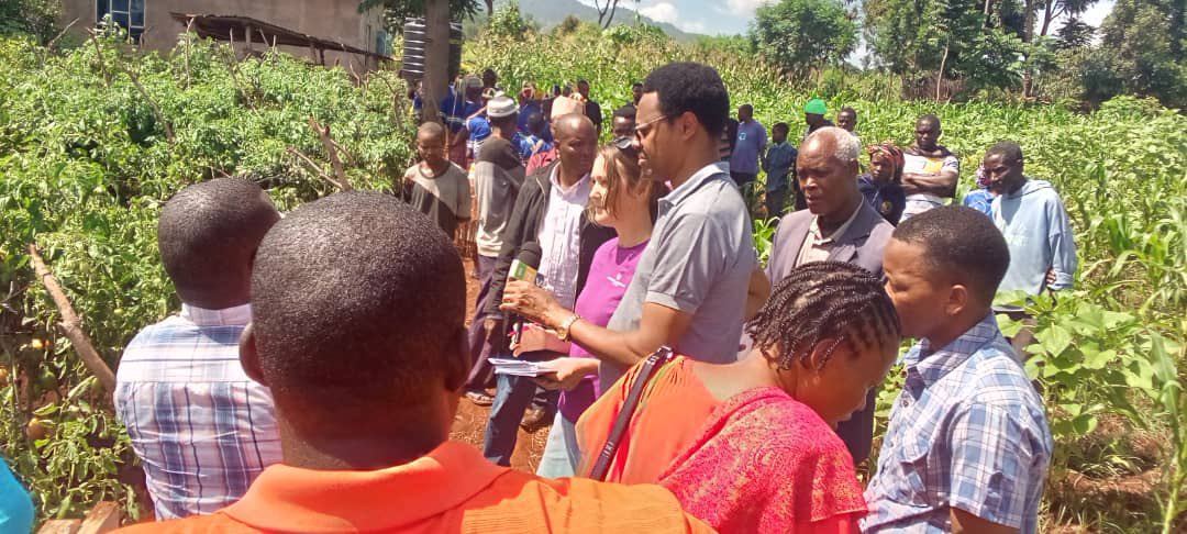 ELCT_ND_NCA's tweet photo. Wageni kutoka NCA (Mshauri wa NCA Tanzania kutoka NCA makao makuu Oslo Norway na Afisa kutoka NCA Tanzania) wakiwa katika ufuatiliaji wa miradi katika mashamba ya wakulima wanaopatikana katika vijiji vya Gedamar wilayani Babati mkoani Manyara.
@NcaTanzania 

#FSRH https://t.co/mLiypI7ZBG