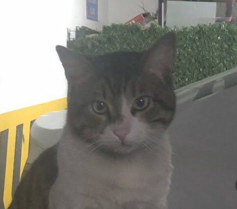 Eros'un katili İbrahim Keloğlan 13 martta yeniden hakim karşısına çıkacak. Yaptığının yanına kar kalmamasını sağlayan şey bizim tepkimiz oldu. 13 marta kadar Eros'un kocaman bir ailesi olduğunu unutmamanızı rica ediyorum. İbrahim Keloğlan tutuklanacak!