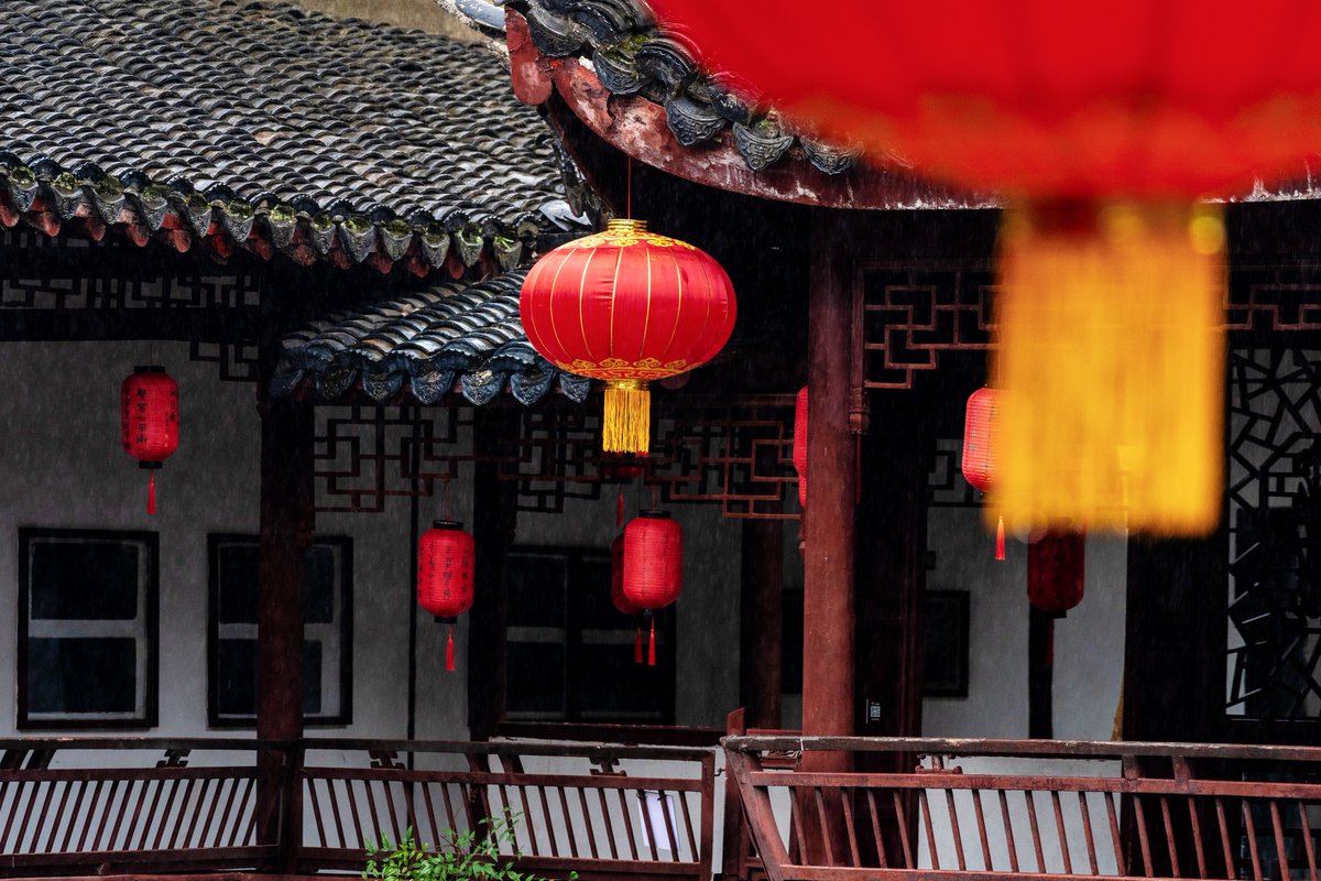 VisitSongjiang's tweet image. In Zuibaichi Park, the gentle rhythm of #springrain breathes new life into every corner. Each droplet kisses the vibrant blooms and lush #greenery, infusing the air with the fresh scent of renewal. #spring #red #lanterns #ChineseGarden #Songjiang #Shanghai