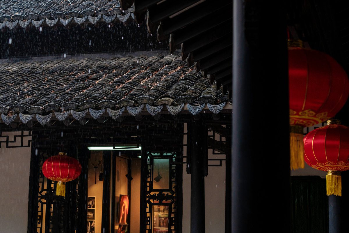 VisitSongjiang's tweet image. In Zuibaichi Park, the gentle rhythm of #springrain breathes new life into every corner. Each droplet kisses the vibrant blooms and lush #greenery, infusing the air with the fresh scent of renewal. #spring #red #lanterns #ChineseGarden #Songjiang #Shanghai