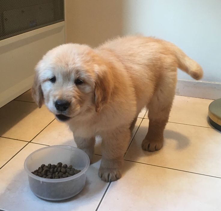takemybear 🐶 tweet media