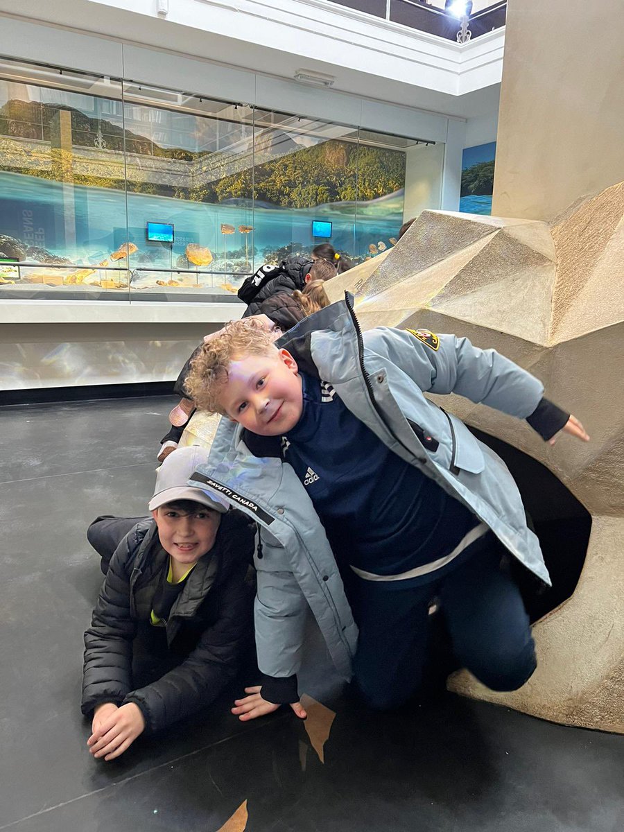 Year 4 HighStPrimary tweet media