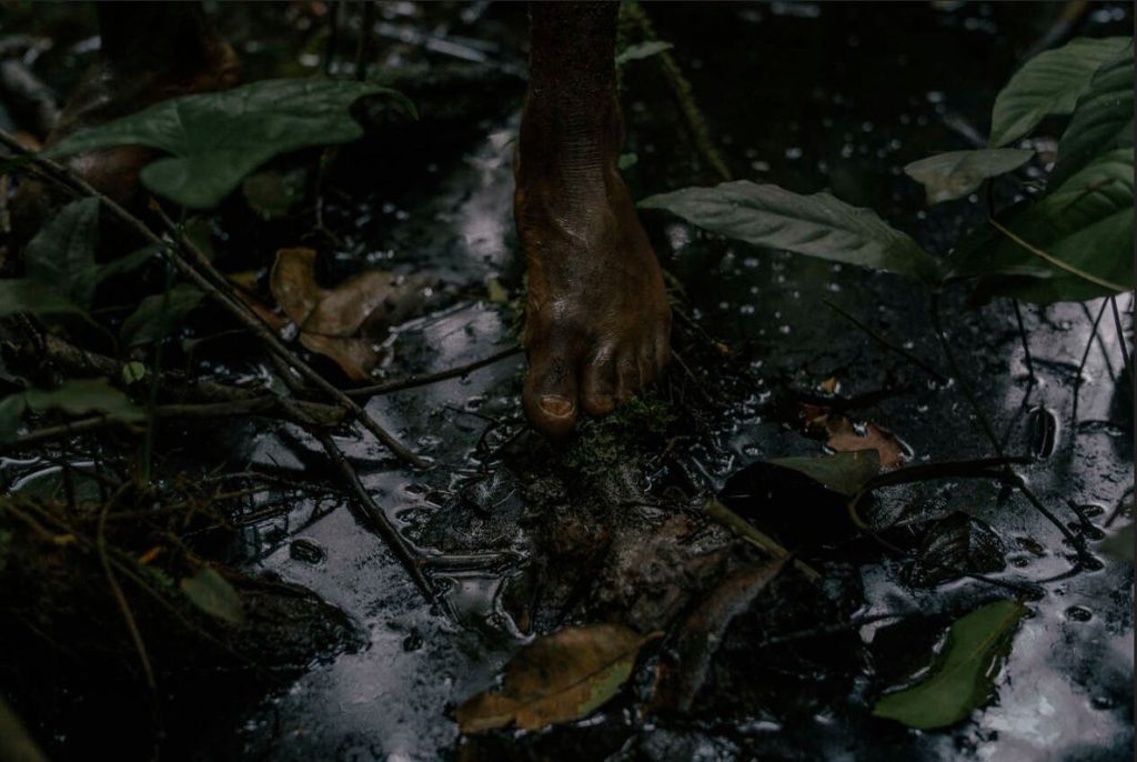 Agrimine Afrique tweet media