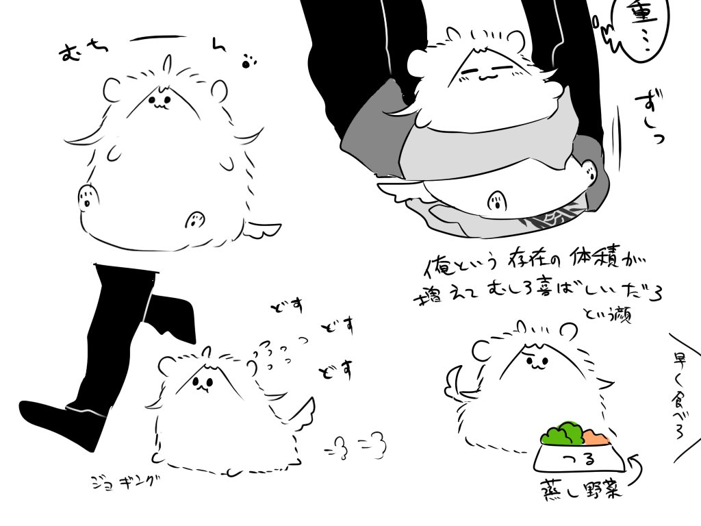 美味しい物食べすぎてちょっぴりふくよかになったつるわんこ🐾 