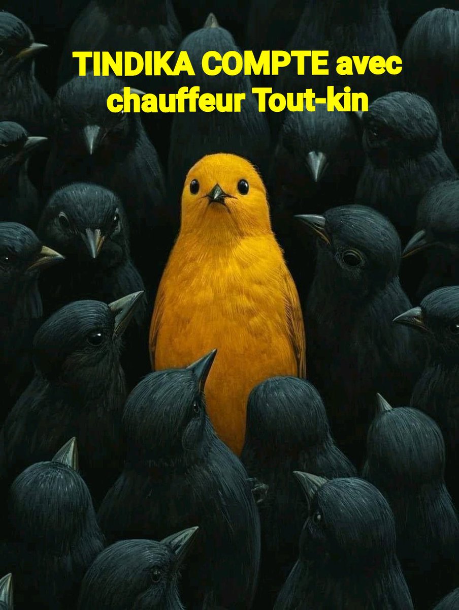 Un peu de TINDIKA COMPTE pour augmenter la visibilité de mes abonnés. 
Mettez vos pseudos en commentaire et SUIVONS-NOUS jusqu'à fatigué !
🤣🤣🤣🤣🤣
EPESA ZUWA TÉ !