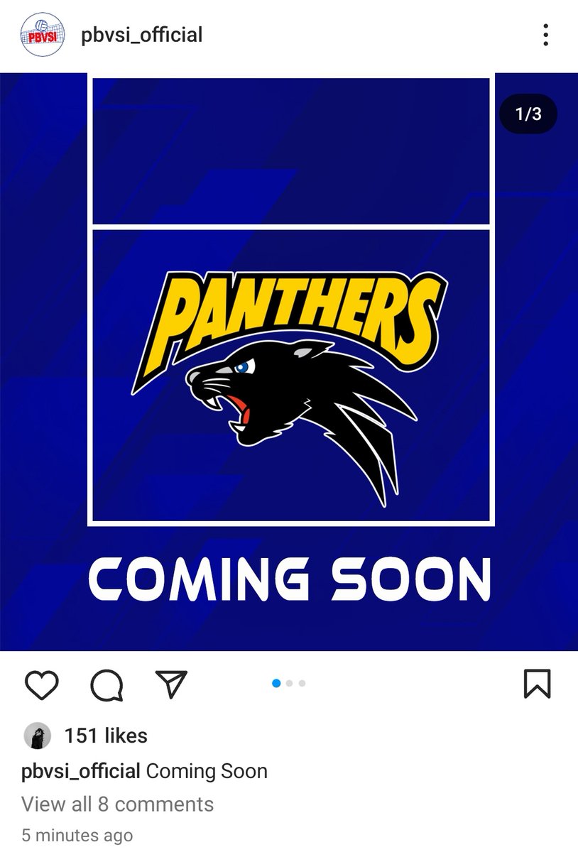 ウェア Panasonic Panthers 2020-2024 ウェア Panasonic Panthers 2020-2024 Japan Volleyball