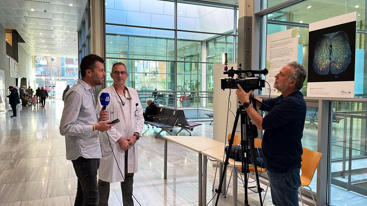 HospitalSantPau's tweet photo. Aquest matí, el Dr. David de la Rosa, del Servei de Pneumologia i president de la “Sociedad Española de Pneumologia y Cirugía Torácica”, destaca la importància del diagnòstic precoç en les #malaltiesminoritàries a @informativost5. https://t.co/mCvrRLmlAU