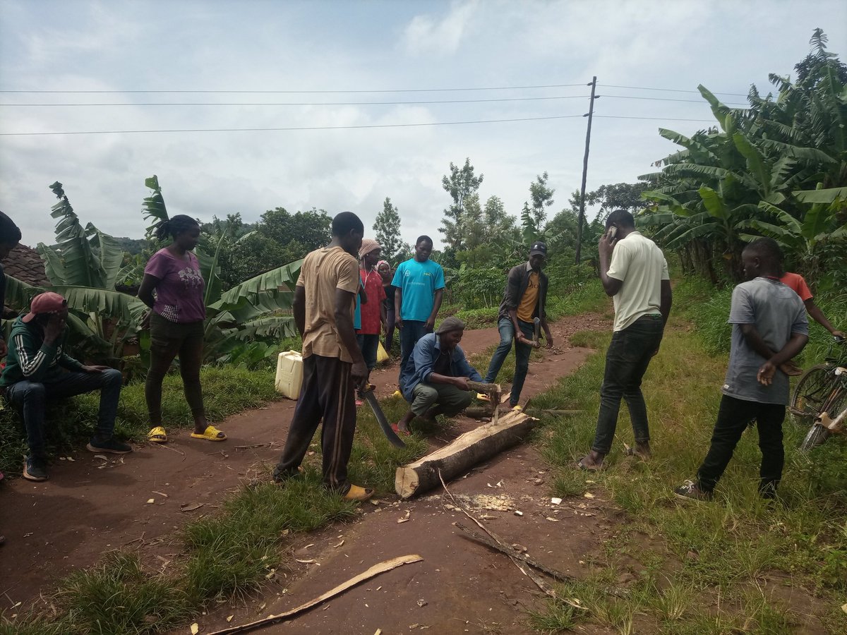 NycRutsiro's tweet photo. Nonaha, Urubyiruko mu mirenge itandukanye igize @RutsiroDistrict twazindukuye mu #Muganda wihariye w'urubyiruko aho twibanze mu kubakira imiryango itandukanye itishoboye #Ubwiherero muri gahunda ya HSI @RwandaWest  @RwandaYouthArts @RwandaYouth @YegoRutsiro @RutsiroRYVCP https://t.co/HrJWlwSwSi
