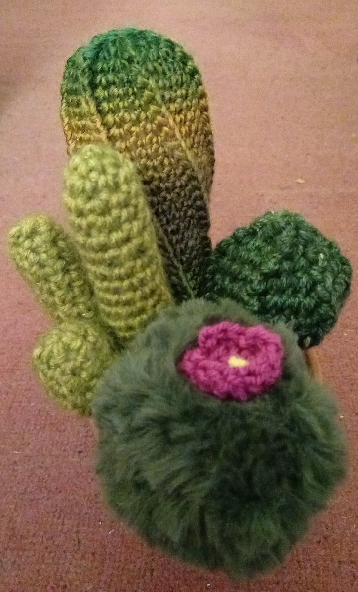 Helenintgarden's tweet image. #ThreeThingsThursday #gratitude
1) reading a good book 📚 
2) making #crochet cactus collections 🌵🧶
3) trying new recipes and learning how to do more with the airfryer 🍽
4) binge listening to a really good audiobook as I crochet 🎧📚