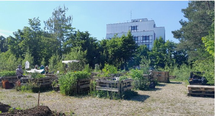 BritishEcolSoc's tweet image. In defence of community gardens🌳🌼🏙️

A new paper in @PaN_BES highlights the importance of community gardens as urban ecosystems and calls for systematic and comprehensive data collection to better protect them