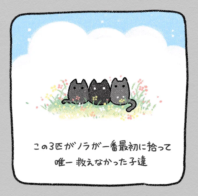 (4/4)
我が家の保護犬保護猫の8割以上はノラが拾ってる

【保護犬茶々のお話】は現在投稿中です

他の子達のお話もまたいつか 