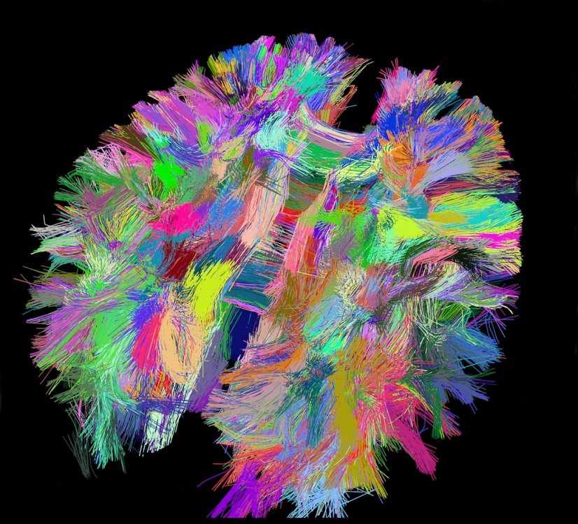 Événement 📅 | Pour la 26e édition de la Semaine du cerveau #SDC2024🧠, du 11 au 17 mars 2024, venez découvrir les secrets et les enjeux de la recherche en neurosciences au CNRS. ➡️paris-centre.cnrs.fr/fr/cnrsinfo/se…