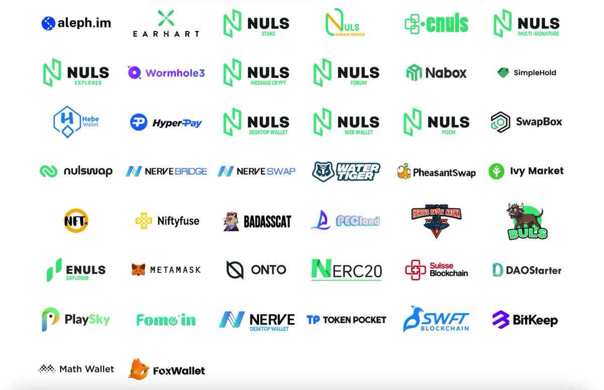 It has been a year since the ENULS main-net launch and we have gained substantial progress in growing the ecosystem! The NULS Ignition Program Phase 1 launched in early 2023 achieved what was expected, and attracted great partners and projects joining the force 💪