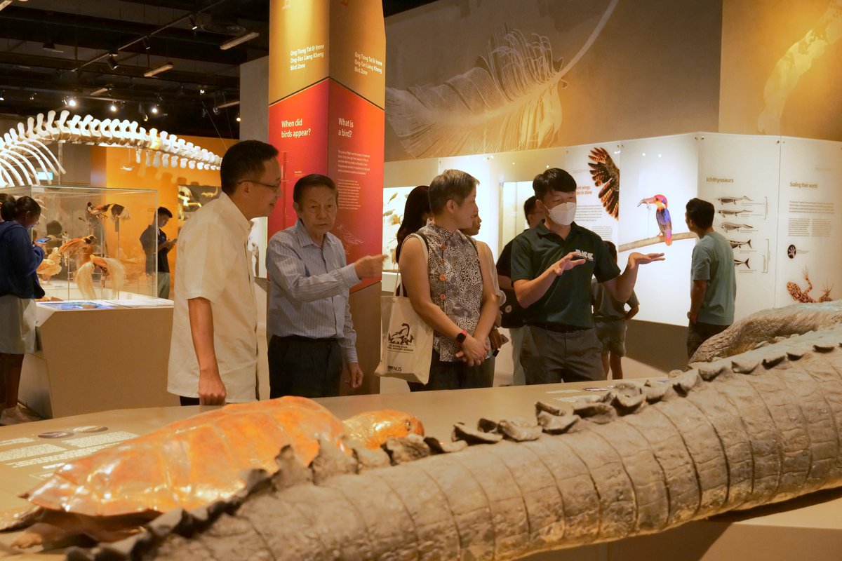 On 28 Feb, we were delighted to host @nparksbuzz’s Chairman Mr Loh Khum Yean and Board Member and CEO Ms Hwang Yu-Ning, as well as other members from the Senior Management team, for a tour of the Museum’s collections and gallery, including our temporary exhibition ‘Death by Man’.