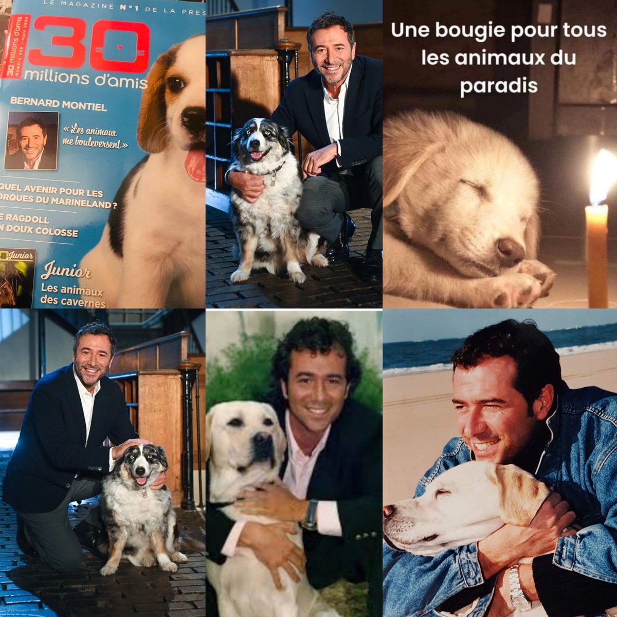 bernard_montiel's tweet photo. Merci au magazine @30millionsdamis pour cet article ! Je pense toujours à mon labrador adoré #Farouk ❤️ Samedi prochain 17h30 @AnimauxTV je reçois la grande Journaliste , femme de cœur, amoureuse des animaux @christine_kelly #AnimauxStars INÉDIT ! #animauxtv #CHRISTINEKELLY 🐈‍⬛🐕‍🦺 https://t.co/gjkeDvdApl