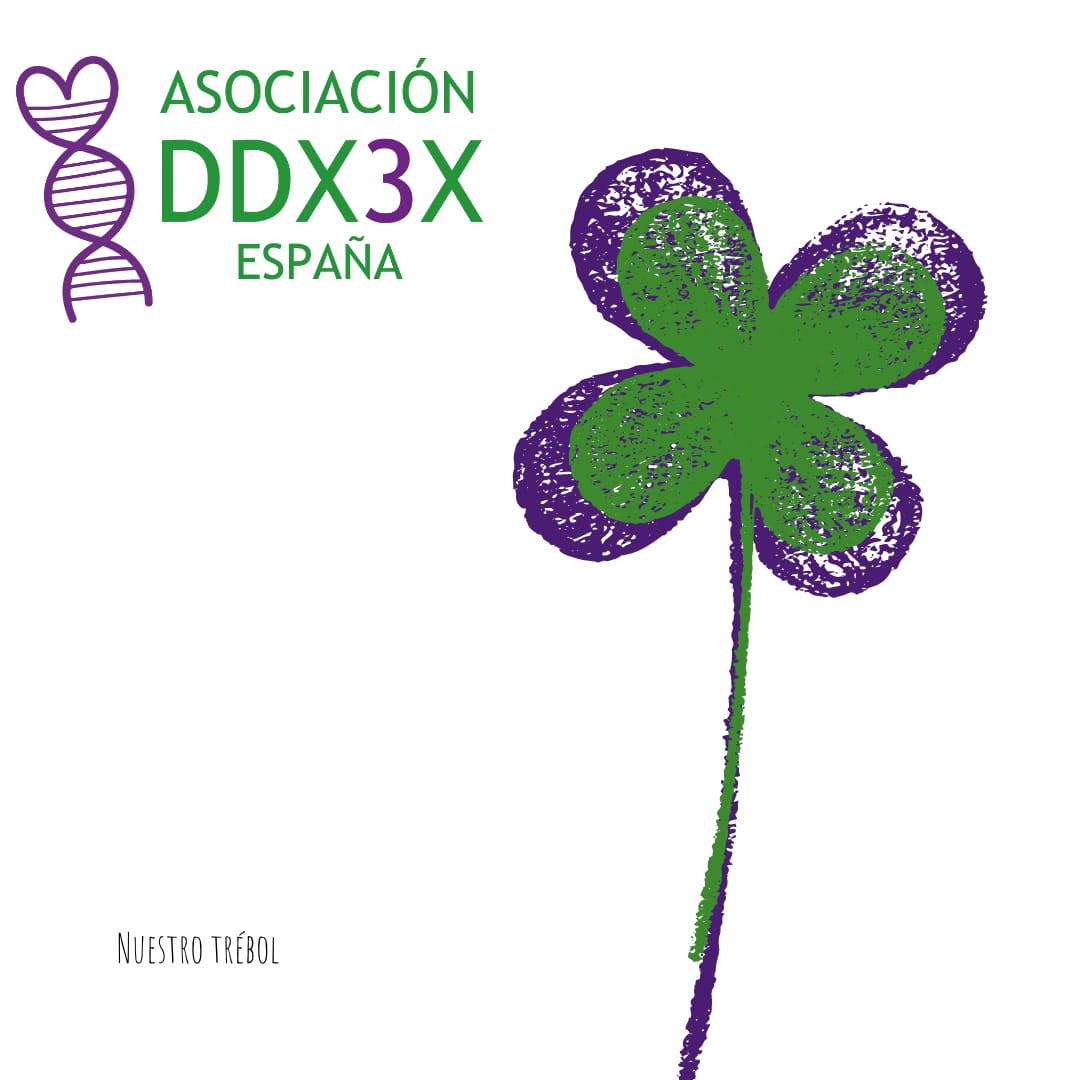DDX3X_ES's tweet image. Desde la Asociación DDX3X España nos unimos a la celebración del Día Mundial de las Enfermedades Raras con nuestro propio trébol. #SomosFEDER