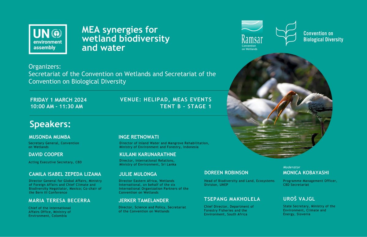 #SaveTheDate - Friday 1 March 2024 Join us at #UNEA6 for our side event co-hosted with @UNBiodiversity, focusing on enhancing synergy between MEAs in the implementation of the #BiodiversityPlan. 🕙 10:00 AM - 11:30 AM (GMT+3) 📍 Helipad, MEAs events Tent B – Stage 1