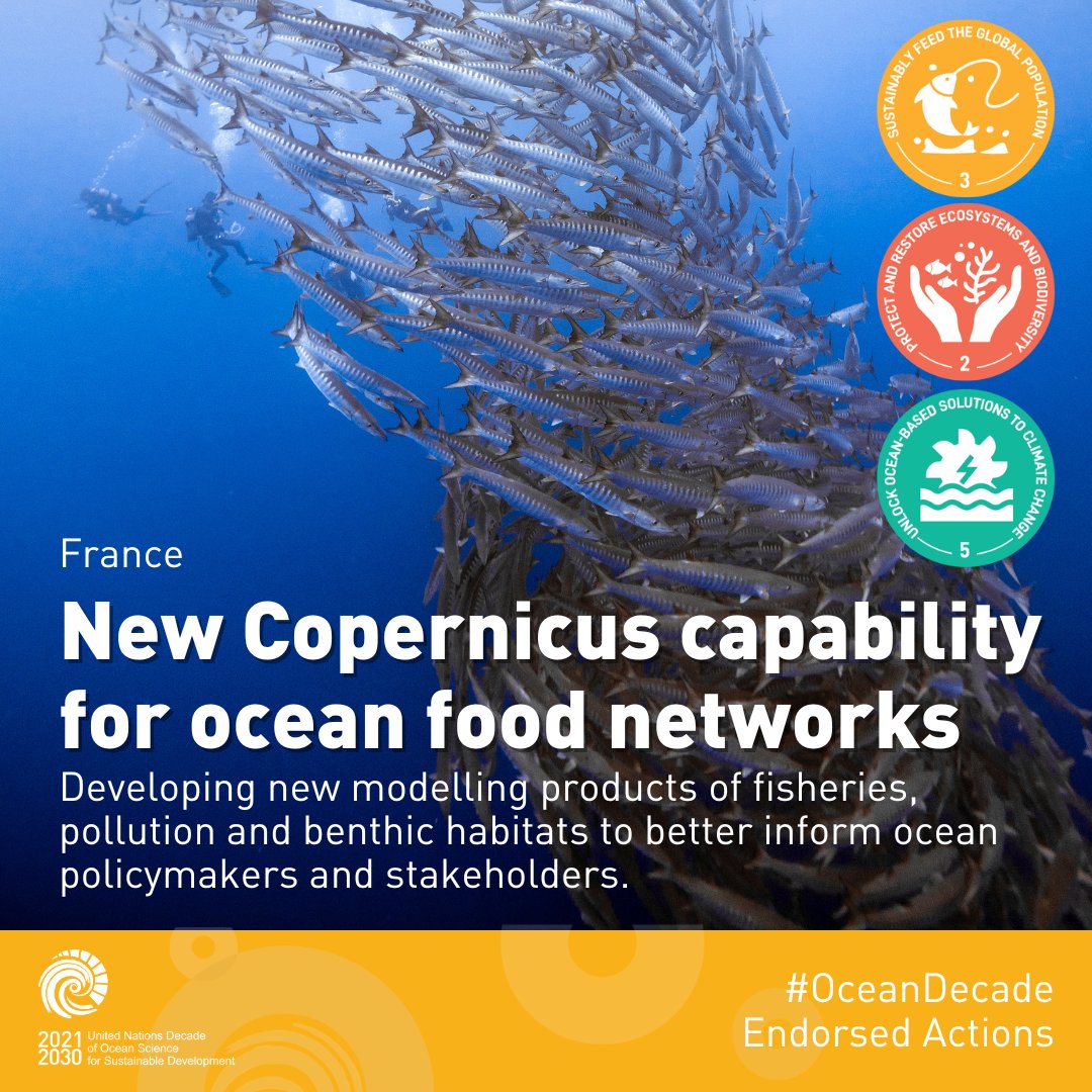 The @NECCTON project by @MercatorOcean aims to transform the European capability to protect marine biodiversity. New modelling products of fisheries, pollution and habitats will enable @CopernicusEU to better inform ocean policymakers. 🔗 ow.ly/CamE50QIKea #OceanDecade