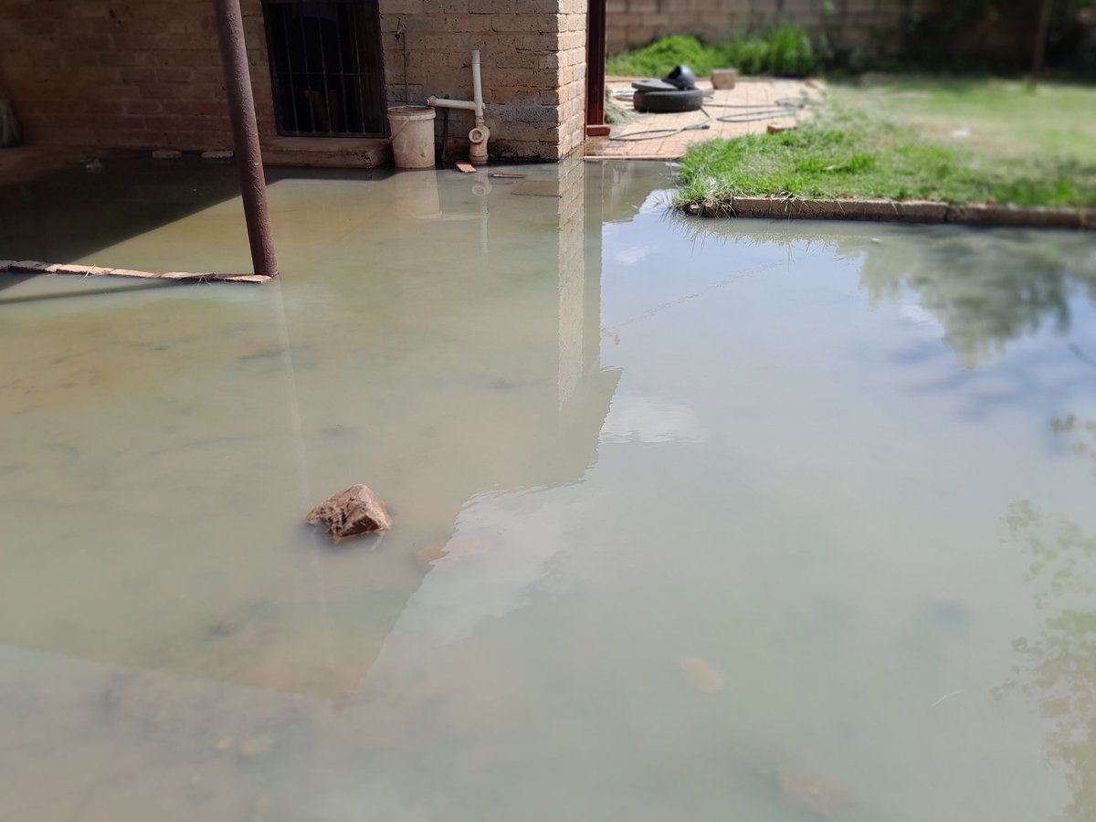 Refiloe Fiffy Seboko tweet media