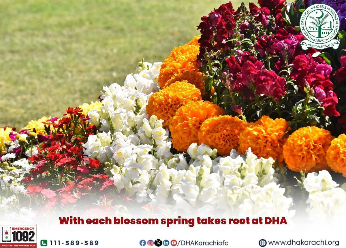 DHAKarachiOfc's tweet image. In spring, hope blooms and flowers bring smiles brightening the days 

#Spring #Springtime2024 #WelcomeSpring #Renewal #Revival #FYP #NaturePhotography #Photography #Nature #Life #Mornings #Sunshine #Bloom #Flowersinbloom #Flowers #DHAKarachi #DHA