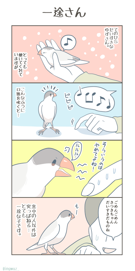 一途さん。

#漫画が読めるハッシュタグ #Buncho #文鳥 