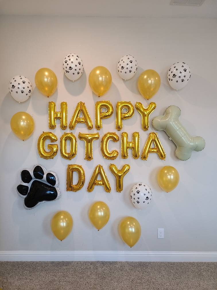 Carole👩‍🦳& Milly😺 tweet media