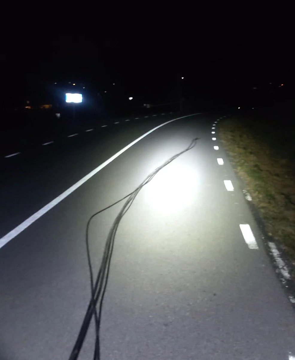 Anna Llobet tweet media