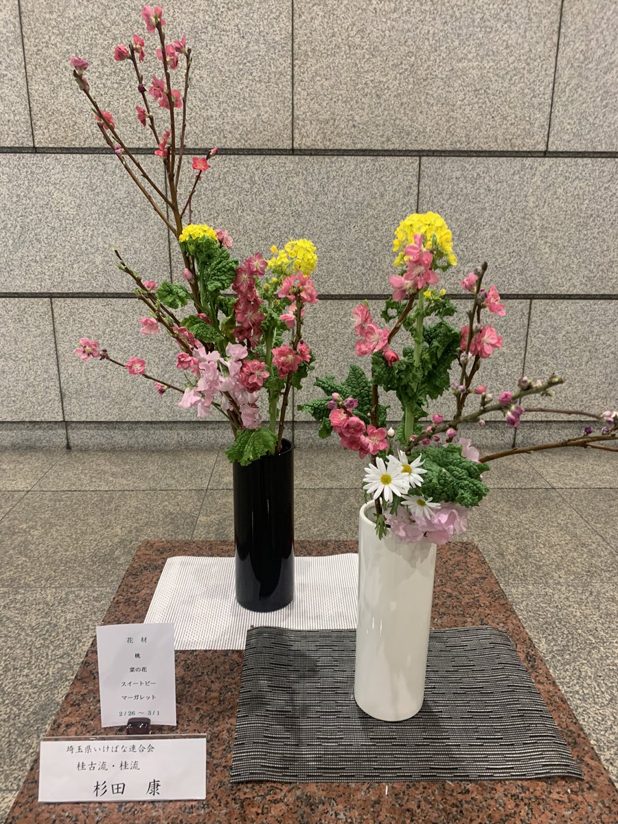 埼玉県議会議事堂に展示の生け花。 春の気配を感じます。 #生け花　#春