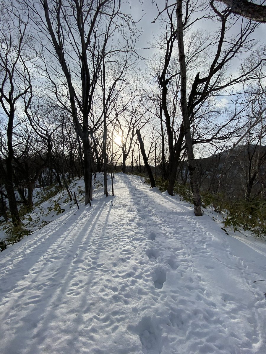 adexnoboribetsu's tweet photo. Snowshoeing in the afternoon sun is very relaxing ☺️
https://t.co/A9oWRKAZyH
#adexbase #adexnoboribetsu #adventureexperience #hokkaido #japantravel #japantravelphoto #japan #tour #北海道 #登別 #登別温泉 #登別地獄谷 #日本 #イマソラ #スノーシュー #雪 #北国な真っ白な始まり https://t.co/cYcXjbudrr