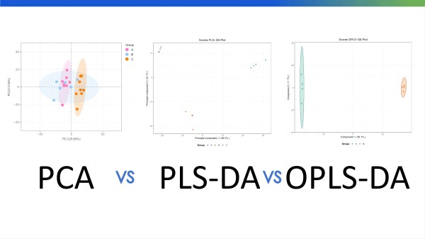 Confused by #PCA, PLS-DA, &amp; OPLS-DA in #metabolomics? Our blog breaks down these 3 analyses &amp; how they impact your research. metwarebio.com/metabolomic-an…
#dataanalysis #statistics #multiomics #lipidomcis #metabolomicsdata