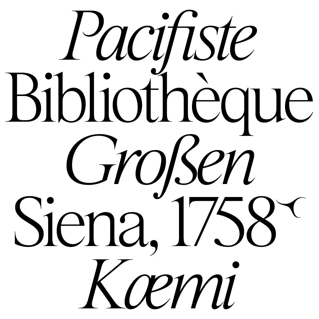 type01_'s tweet photo. Custom #typeface by @due_std for Biblioteca Comunale degli Intronati of Siena 🔥

#type01 #typedesign #typedesigner #customtypeface #graphicdesign #graphicdesignstudio #typography #typographydesign https://t.co/xn7fikcxTe