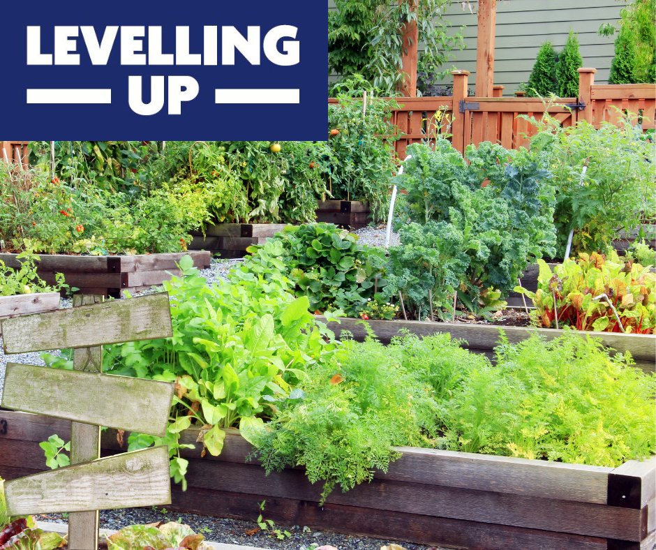 Applications are open until March 31 2024 for community groups to apply for funding to create new green spaces thanks to the UK Shared Prosperity Fund. To learn more about help building a community garden, click here. t.ly/gTXPN