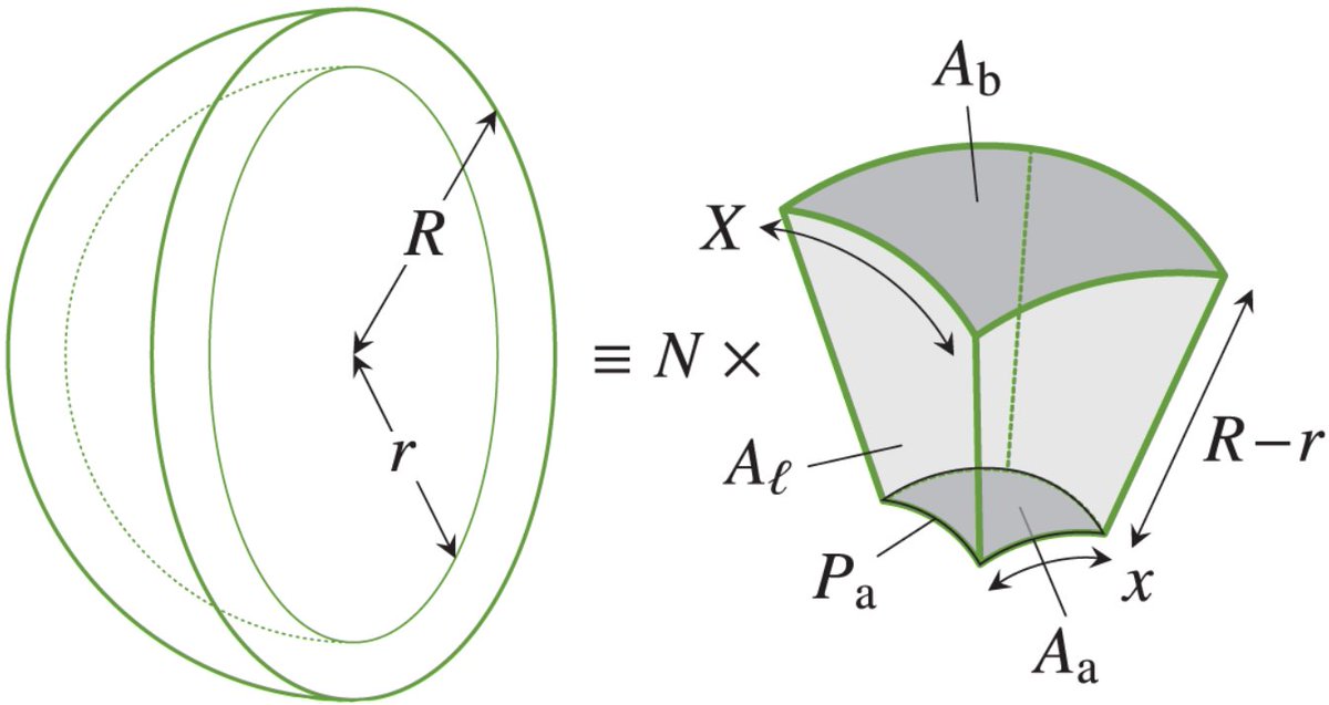 New #review on 'Shaping Epithelial Lumina under Pressure' now published #BiochemSocTrans @PPPublishing! @mattbovyn and I review lumen formation mechanics and discuss the emerging role of nonlinear mechanics in the elongation of tubular lumina.
doi.org/10.1042/BST202…