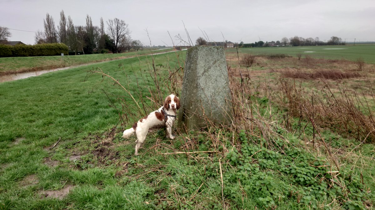PaulMagan2's tweet image. Two for tea. Angle Bridge #trigpoint Whittlesea for #TrigPointThursday. Bagging your first trig pillar at 74!
@TrigThursday