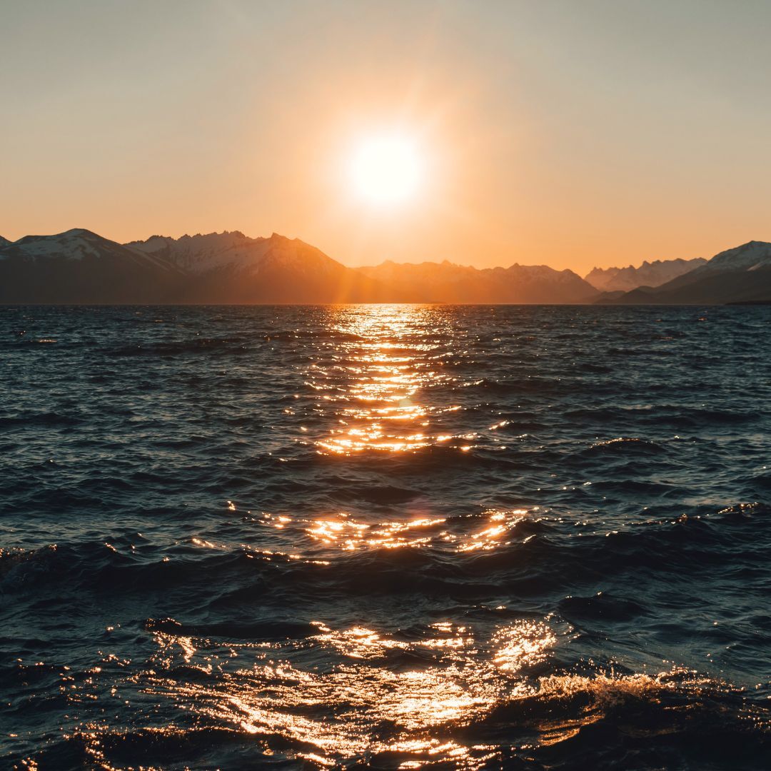 LewisPughFDN's tweet image. Seawater also plays a vital role in regulating our planet's temperature. 97% of the solar radiation that hits the ocean is absorbed by seawater before being redistributed to the depths by ocean currents, preventing the Earth's surface from overheating ☀️🌀