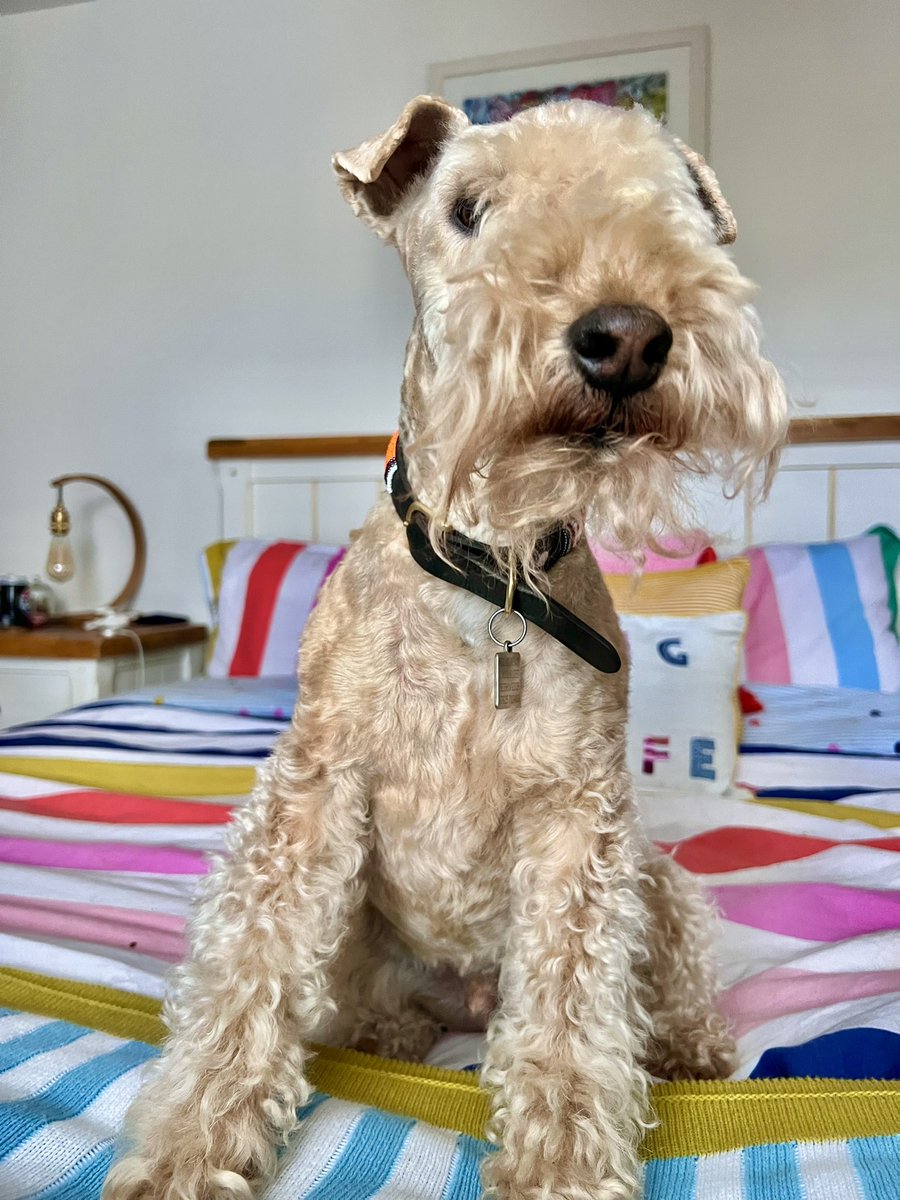 Bertie Lakeland tweet media