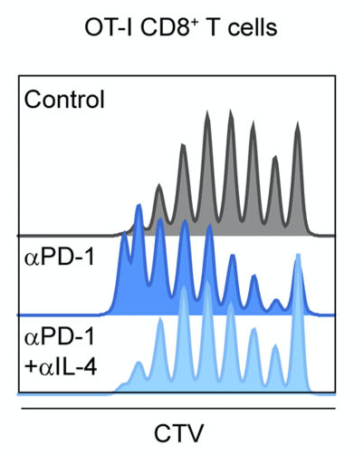 Bousso Lab tweet media