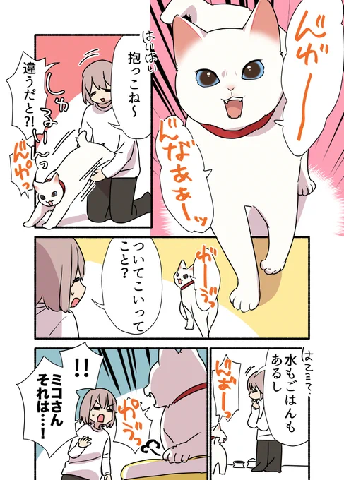 猫の日がある月最終日だから #愛されたがりの白猫ミコさん 販促漫画を再放送させてくれ〜〜(1/2) #漫画が読めるハッシュタグ 