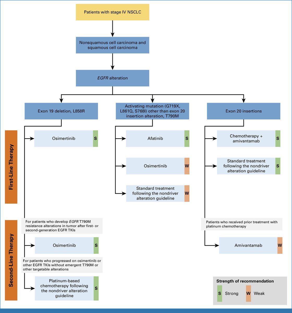 Hidehito HORINOUCHI tweet media