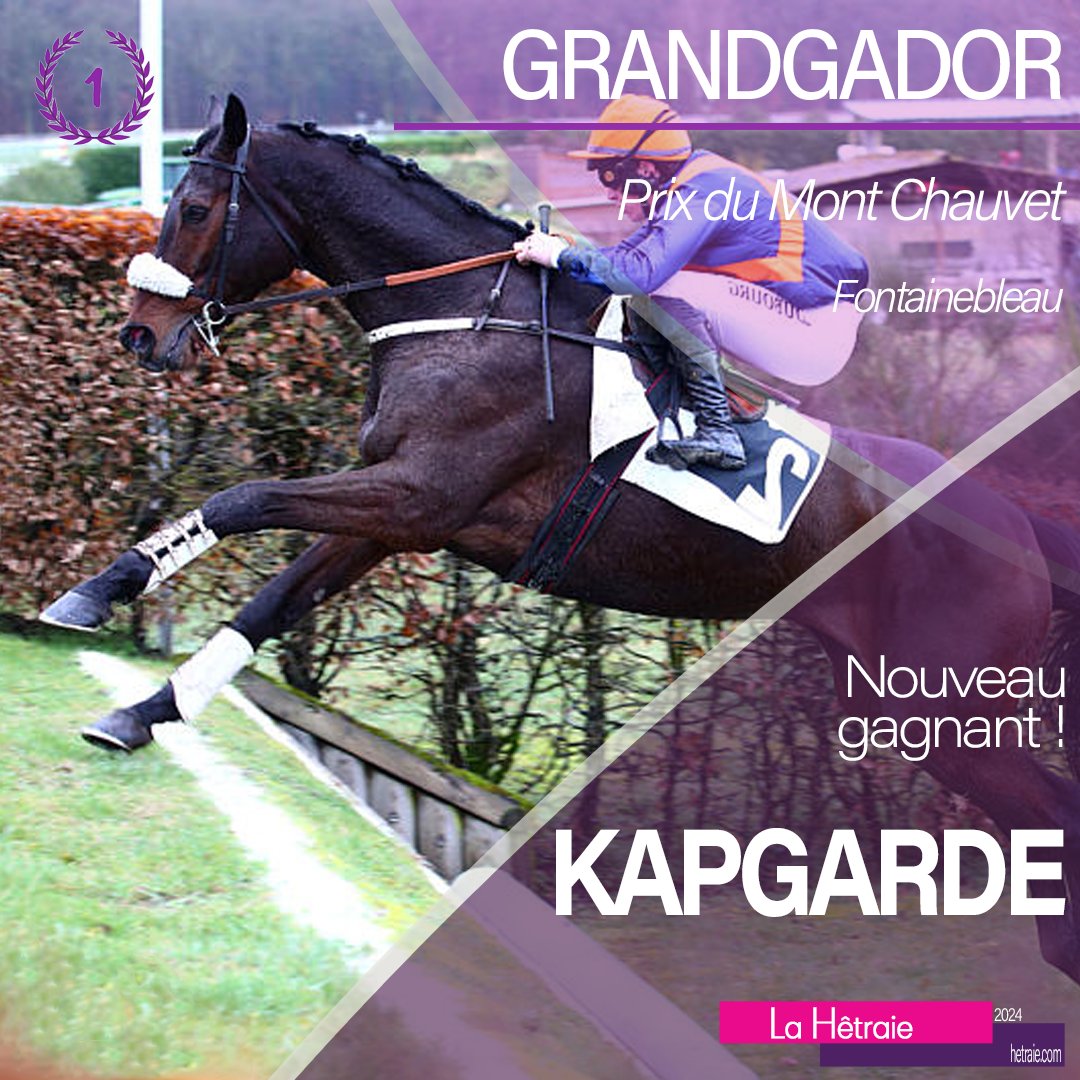 haraslahetraie's tweet photo. 🏇🥇 Winners keep illustrating their talents on the french tracks. 
👏 Congratulations to all! 

Standing 7 stallions: #Kapgarde, #GreatPretender, #Bathyrhon, #NirvanaDuBerlais, #RomanCandle, #MareAustralis &amp; #Headman
#bredinFrance #horseracing #NH https://t.co/VF7lbu8GfE