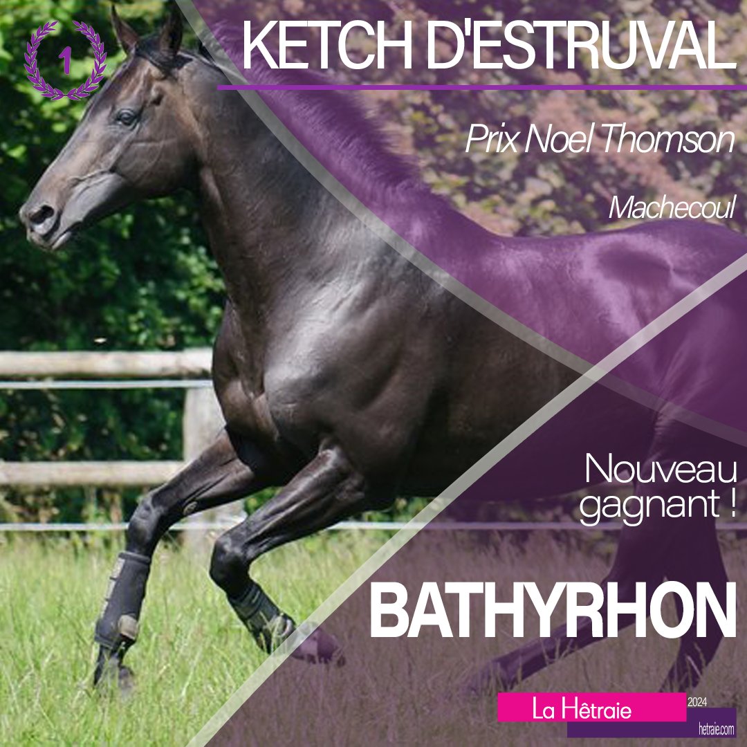 haraslahetraie's tweet photo. 🏇🥇 Winners keep illustrating their talents on the french tracks. 
👏 Congratulations to all! 

Standing 7 stallions: #Kapgarde, #GreatPretender, #Bathyrhon, #NirvanaDuBerlais, #RomanCandle, #MareAustralis &amp; #Headman
#bredinFrance #horseracing #NH https://t.co/VF7lbu8GfE