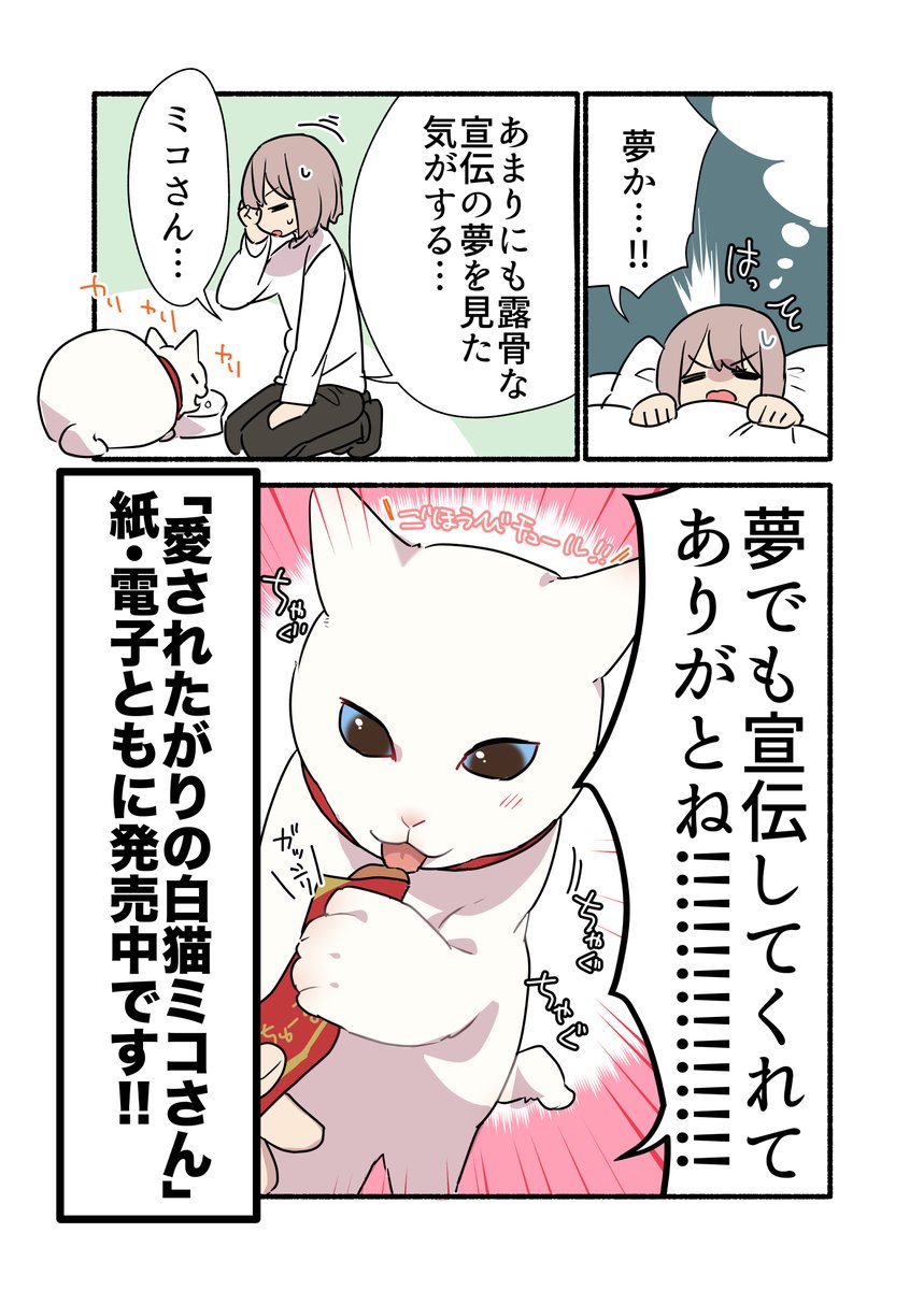 猫の日がある月最終日だから #愛されたがりの白猫ミコさん 販促漫画を再放送させてくれ〜〜🐈
(2/2)
#漫画が読めるハッシュタグ 

お買い求めは👇から〜
https://t.co/946gcriaEO 