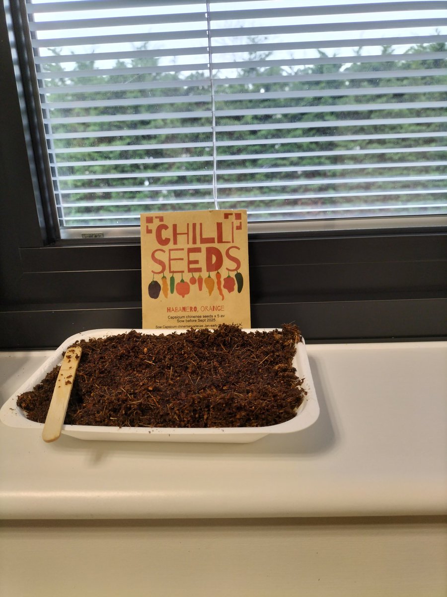 allimunson's tweet photo. Day one.... chilli competition https://t.co/HtvsMTnPvP